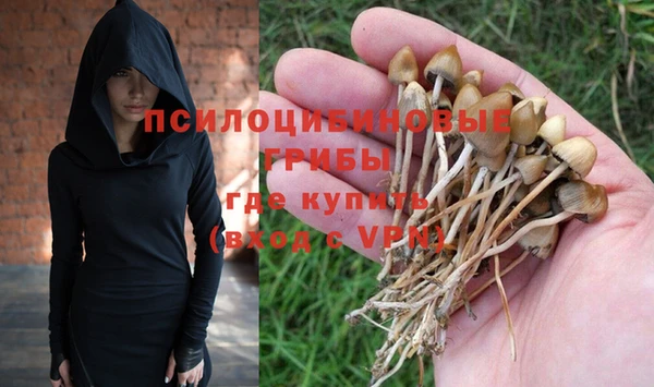 марки nbome Белокуриха